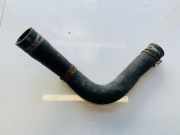 Kühlerschlauch Dodge Journey. 2009.01 - 2014.12 Gebraucht,