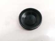 Blende Scheinwerfer - Vorne Renault Scenic, II 2003.06 - 2006.06 153874,