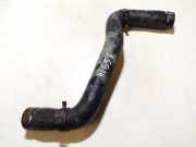 Kühlerschlauch Renault Scenic, I 1999.09 - 2003.06 facelift Gebraucht,