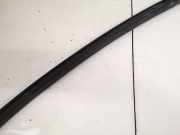 Zierleiste Leiste - Vorne Linke Renault Scenic, I 1996.01 - 1999.09 Gebraucht,