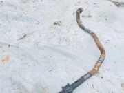 Stabilisator Vorne Audi 80, B3 1986.06 - 1991.09 Gebraucht,