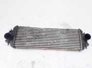 Ladeluftkühler Renault Trafic, X83 2001.03 - 2006.08 91166035, 868926q