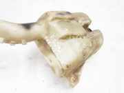 Scheibenwaschbehälter Vorne Wischwasserbehälter Ford Transit, III 2000.01 - 2006.04 YC1513K185,