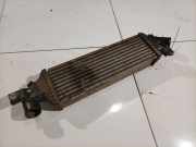 Ladeluftkühler Nissan Primera, P12 2002.01 - 2008.12 Gebraucht,