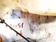 Scheibenwaschbeh?lter Vorne Wischwasserbeh?lter Citroen Xsara, I 1997.04 - 2000.09 962100480,