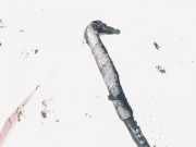 Servoleitung Leitung Servo Servoschlauch Schlauch SsangYong Rodius, 2004.01 - 2008.08 Gebraucht,