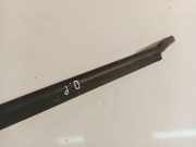 Zierleiste Leiste - Vorne Rechts Renault Scenic, I 1996.01 - 1999.09 Gebraucht,