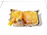 Ausgleichsbeh?lter Citroen C5, II 2008.02 - 2011.01 917a1,