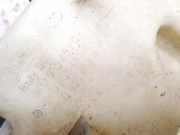 Scheibenwaschbeh?lter Vorne Wischwasserbeh?lter Skoda Octavia, II 2004.02 - 2009.03 1k0955453q,1k0955453r