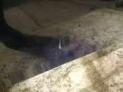 Waschwasserdüse Scheibenreinigung Toyota Corolla, 2001.11 - 2004.02 Gebraucht,