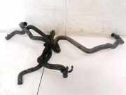 Kühlerschlauch Volkswagen Phaeton, 2002.04 - 2006 Gebraucht , BKL