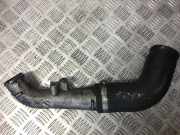 Intercooler Schlauch Nissan Almera, N16 2000.06 - 2003.01 14463BN301,