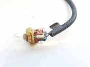 Glühbirnenfassung Blinker Ford Grand C-MAX, 2011.01 - 2019 Gebraucht,