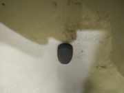 Waschwasserdüse Scheibenreinigung Ford Focus, 2011.04 - 2018 Gebraucht,