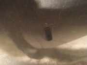 Waschwasserdüse Scheibenreinigung Toyota RAV-4, II 2000.09 - 2005.11 Gebraucht,