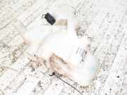 Scheibenwaschbehälter Vorne Wischwasserbehälter Jaguar X-Type, 2001.06 - 2007.11 4X4317B613BA,