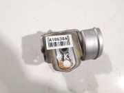 Türscharnier Vorne Peugeot 207, 2006.02 - 2009.06 Gebraucht,