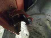 Türscharnier Vorne Renault Clio, 2012.11 - 2016 Gebraucht,