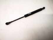 Gasfeder für Motorhaube BMW X5, E53 2000.01 - 2003 Gebraucht,