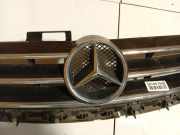 K?hlergrill Frontgrill K?hlergitter Mercedes-Benz A-CLASS, W169, 2004.09 - 2008.09 1698800583,169 880 0583