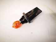 Glühbirnenfassung Blinker Renault Scenic, II 2003.06 - 2006.06 Gebraucht,