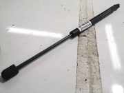 Gasdruckfeder Kofferraum Audi A8, D3 2002.09 - 2005.6 Gebraucht,
