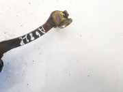 T?rfangband T?rbremse T?rstopper - Hinten Linke Alfa-Romeo 166 1998.09 - 2003.10 60624358A134,