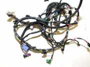 Kabelbaum Tesla Model 3, 2017.01 - 2023 206796302a, 2067963-02-a