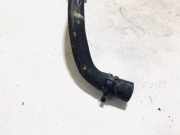 Kühlerschlauch Volkswagen Passat, B6 2005.08 - 2010.11 1k0133687b, Bkp