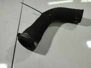 Schlauch für Luftversorgung Renault Scenic, I 1999.09 - 2003.06 facelift Gebraucht ,