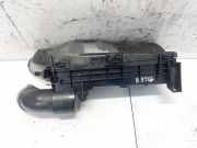 Luftfilterkasten Peugeot RCZ 2009 - 2015 v758368180, 86036