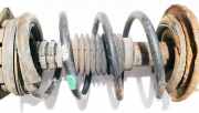 Fahrwerksfeder vorne Renault Scenic, II 2003.06 - 2006.06 Gebraucht,