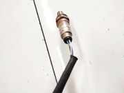 Lambdasonde - 4 Drähte WEISS SCHWARZ GRAU VIOLETT Opel Corsa, D 2006.07 - 2010.06 dox2050, dox-2050