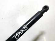 Gasdruckfeder Kofferraum Citroen Xsara, I 1997.04 - 2000.09 Gebraucht,