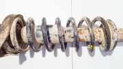 Fahrwerksfeder Hinterachse Audi A6, C4 1994.06 - 1997.10 Gebraucht,