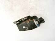 Türscharnier Hinten Opel Insignia A, 2008.01 - 2013.01 0801,