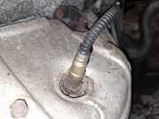 Lambdasonde Peugeot 307, 2000.08 - 2005.06 Gebraucht,