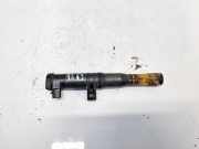 Zündspule Renault Scenic, I 1999.09 - 2003.06 facelift 7700875000, 029700-8291 7700107177