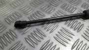 Gasfeder für Motorhaube BMW 5-Series, E39 1995.11 - 2003.06 Gebraucht,