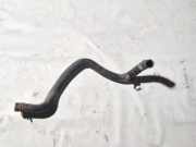 K?hlerschlauch Honda Civic, 1995.10 - 2001.03 Gebraucht,