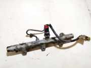 Kraftstoffverteiler Citroen C5, I 2001.03 - 2008.02 0445214019, 053951