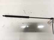 Gasdruckfeder Kofferraum Audi 100, C3 1982.07 - 1991.01 Gebraucht,