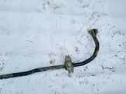 Stabilisator Vorne Skoda Superb, II 2008.03 - 2013.06 1K0411303AM,