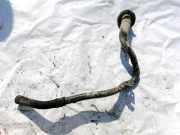 Tankeinfüllstutzen Tankrohr Kraftstoffrohr Opel Vectra, C 2002.04 - 2005.10 Gebraucht ,