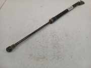 Gasdruckfeder Kofferraum Nissan Primera, P12 2002.01 - 2008.12 51360D,51360D 0590N