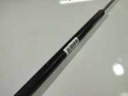 Gasdruckfeder Kofferraum Chrysler Voyager, IV 2000.02 - 2008.12 04894554AG, 04894554AG 16403 2636