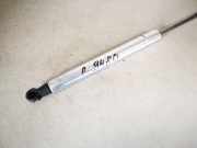 Gasfeder für Motorhaube Volkswagen Phaeton, 2007 - 2011 facelift 3d0823359b, CEXA