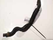 K?hlerschlauch Nissan Primera, P12 2002.01 - 2008.12 Gebraucht,