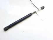 Gasdruckfeder Kofferraum Ford Focus, 2004.11 - 2008.06 5M51F406A10AB,5M51-F406A10-AB 5M51F406A10AB