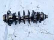 Kurbelwelle Volkswagen Passat, B5+ 2000.11 - 2005.05 038105189B, Avb